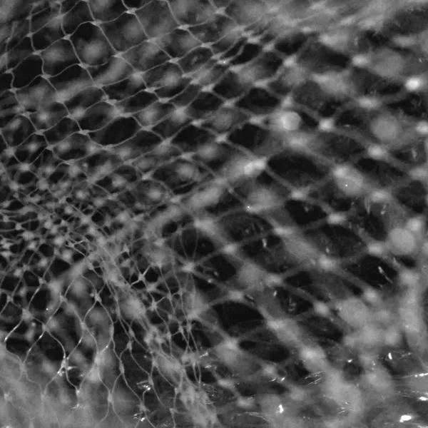 A close-up of a white woven wire mesh